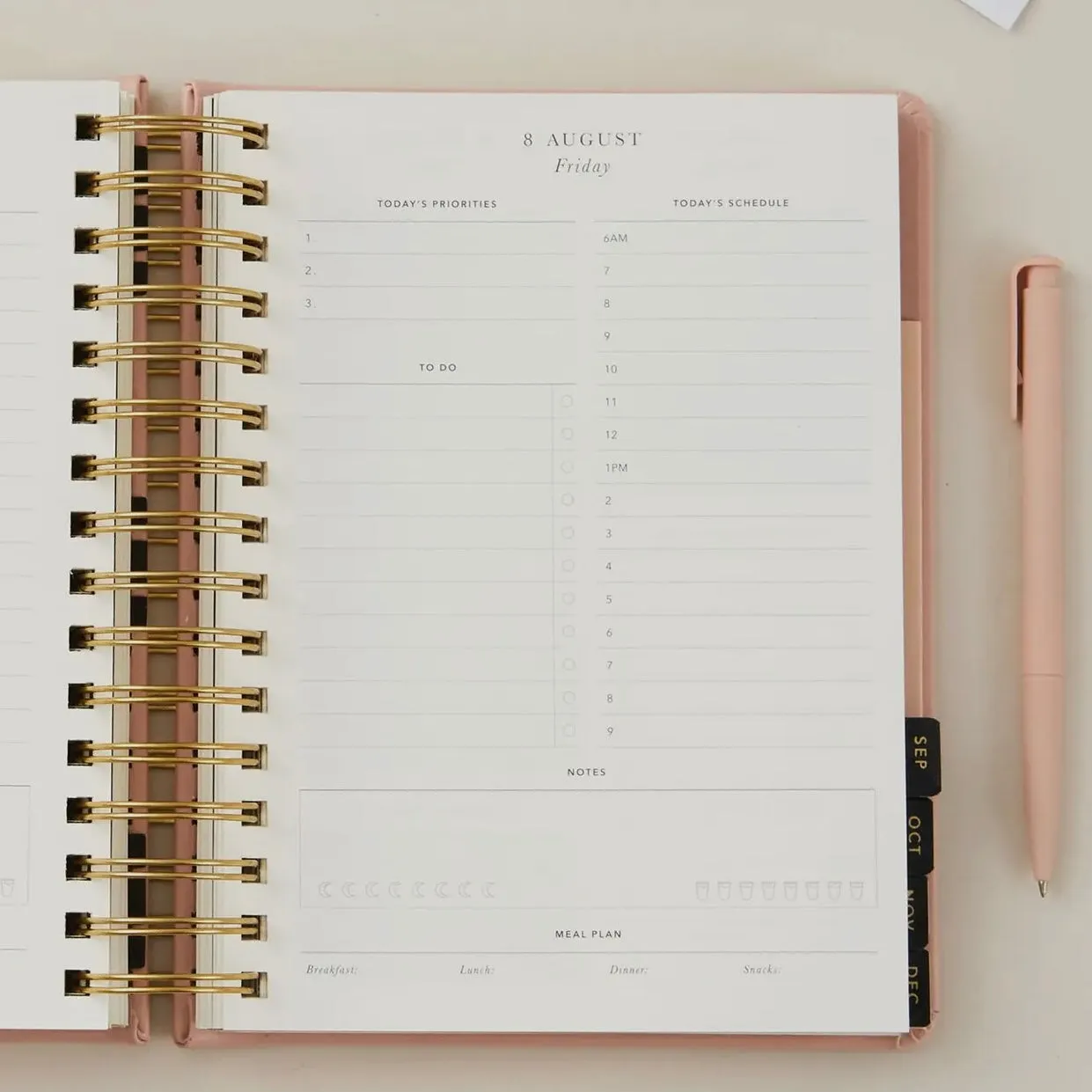 2025 Daily Planner - Pink