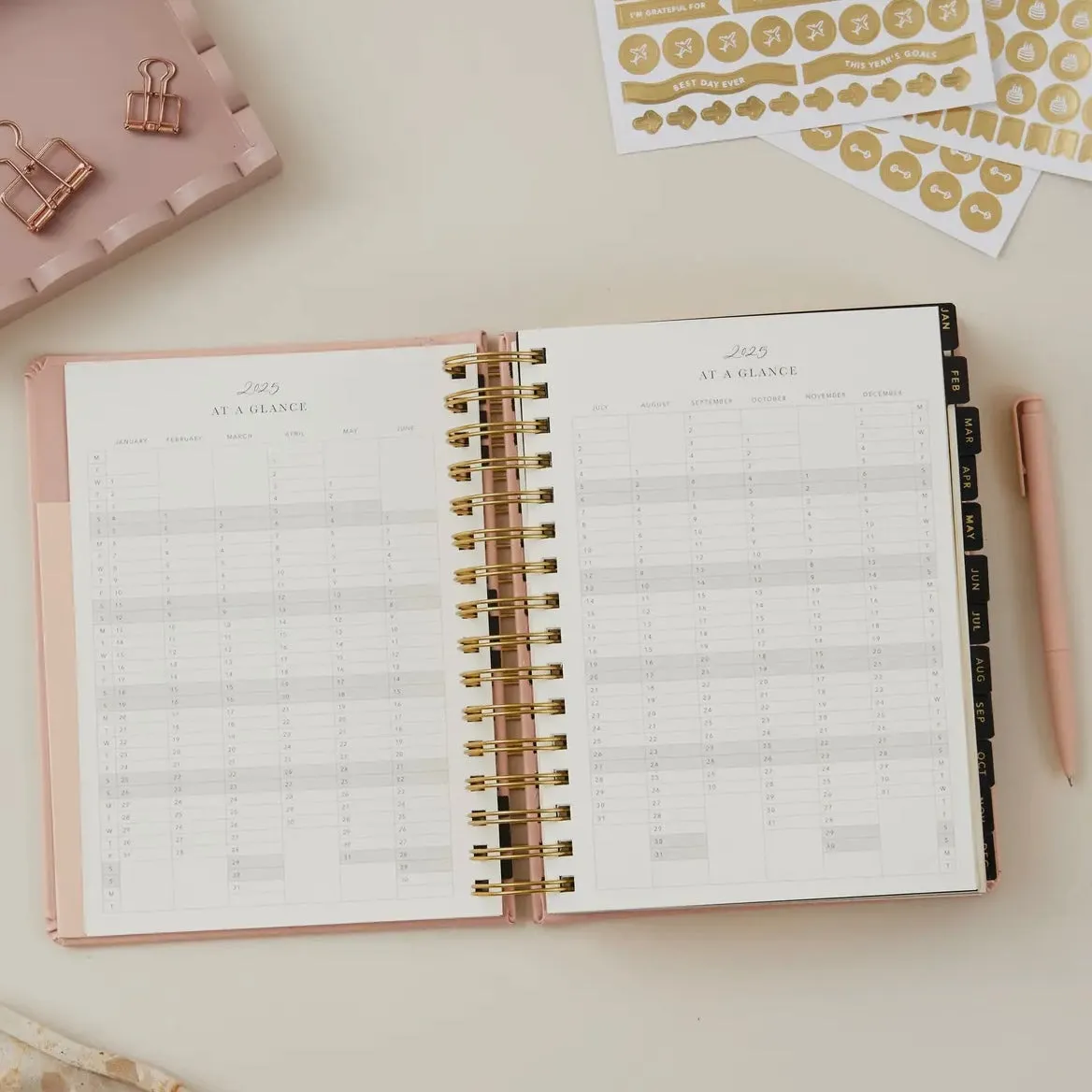 2025 Daily Planner - Pink