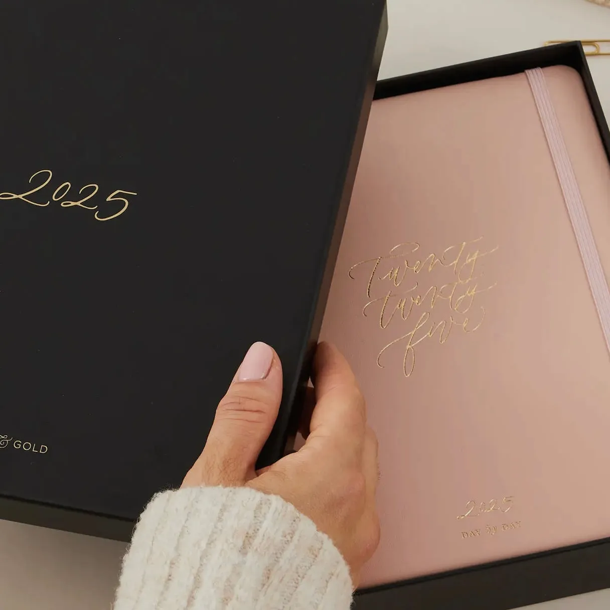 2025 Daily Planner - Pink