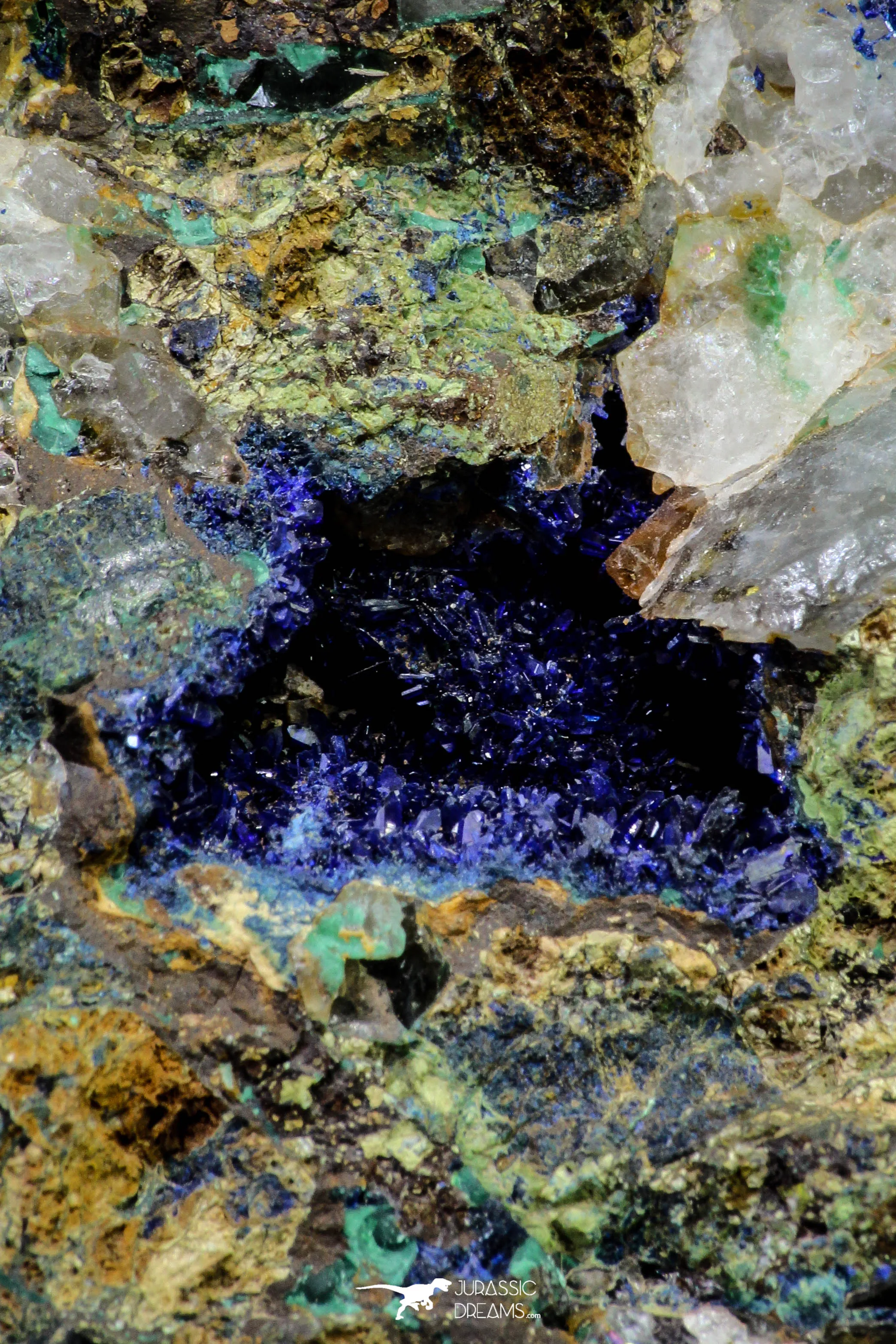21193 - Beautiful Azurite Cristals   Malachite Cristals in Quartz Matrix - Alnif (South Morocco)