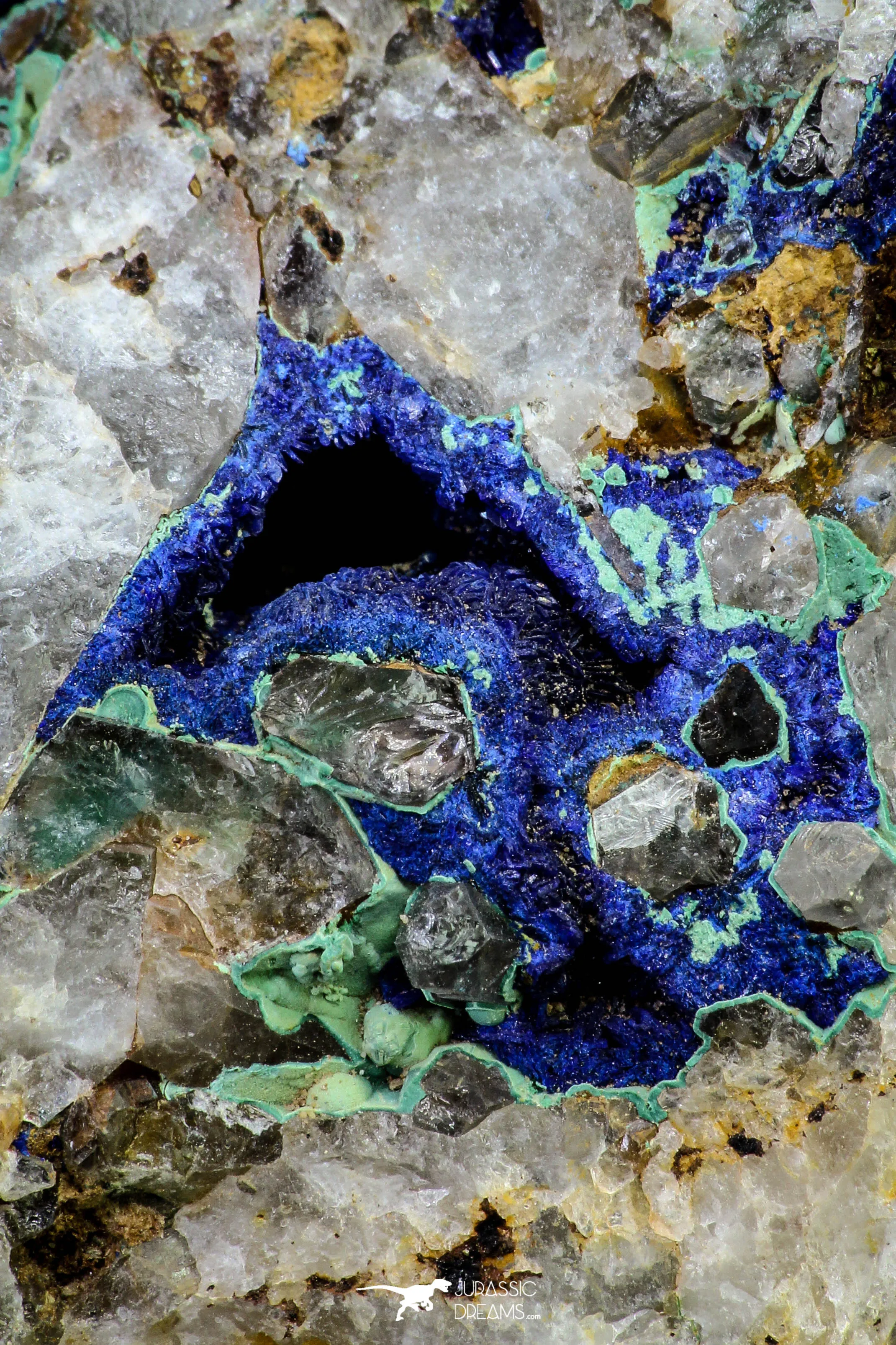 21193 - Beautiful Azurite Cristals   Malachite Cristals in Quartz Matrix - Alnif (South Morocco)
