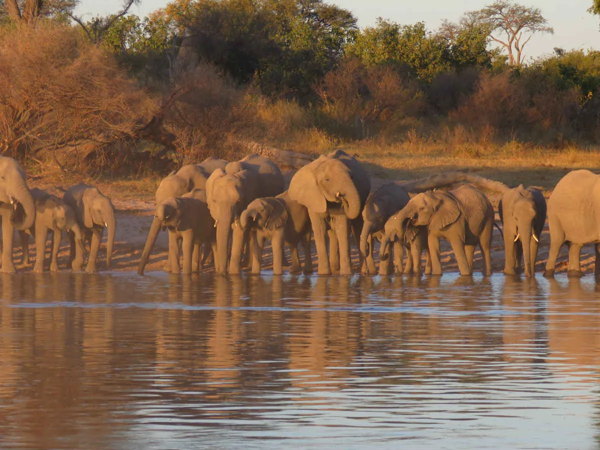 22 Days Namibia To Victoria Falls Tour