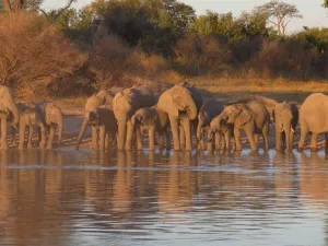 22 Days Namibia To Victoria Falls Tour