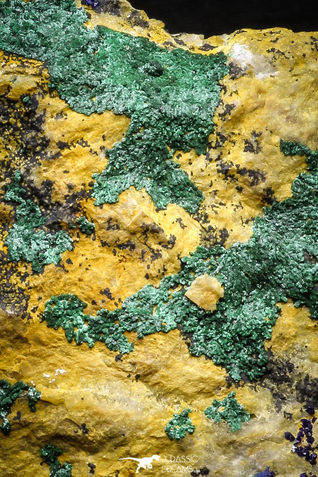 22195 - Beautiful Azurite Cristals   Malachite Cristals in Quartz Matrix - Alnif (South Morocco)