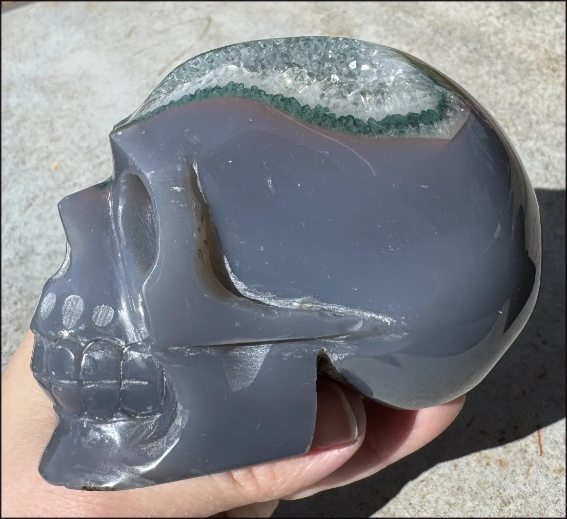 2XL Agate GEODE Crystal Skull with Fantastic large Druzy Lined VUG!