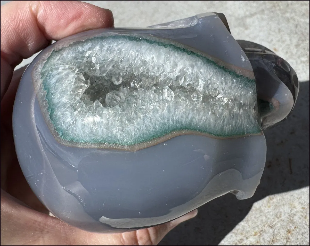 2XL Agate GEODE Crystal Skull with Fantastic large Druzy Lined VUG!