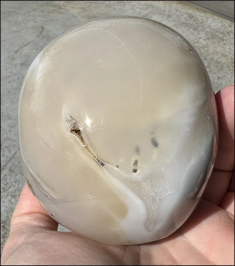 3XL Dendritic Agate GEODE Crystal Skull w/ Fantastic VUGS!