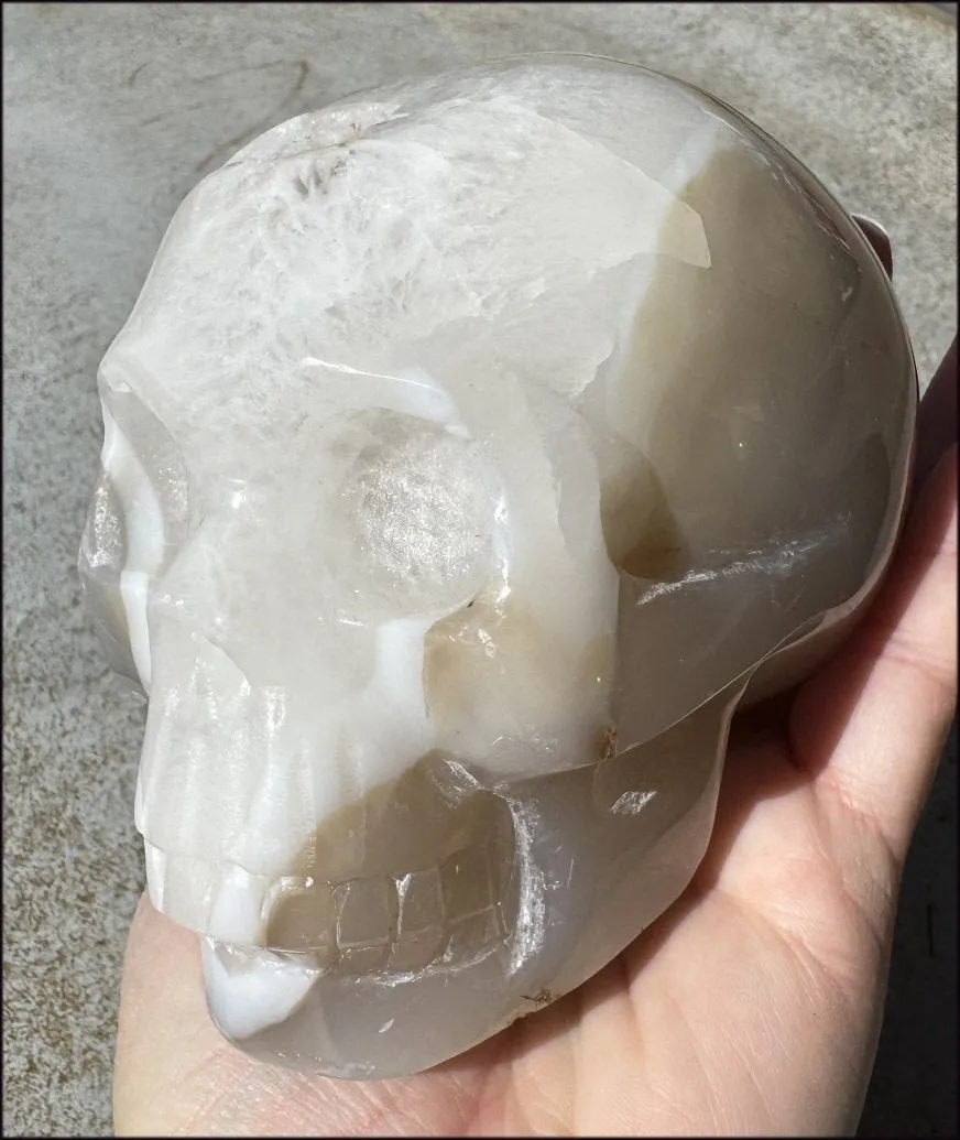 3XL Dendritic Agate GEODE Crystal Skull w/ Fantastic VUGS!