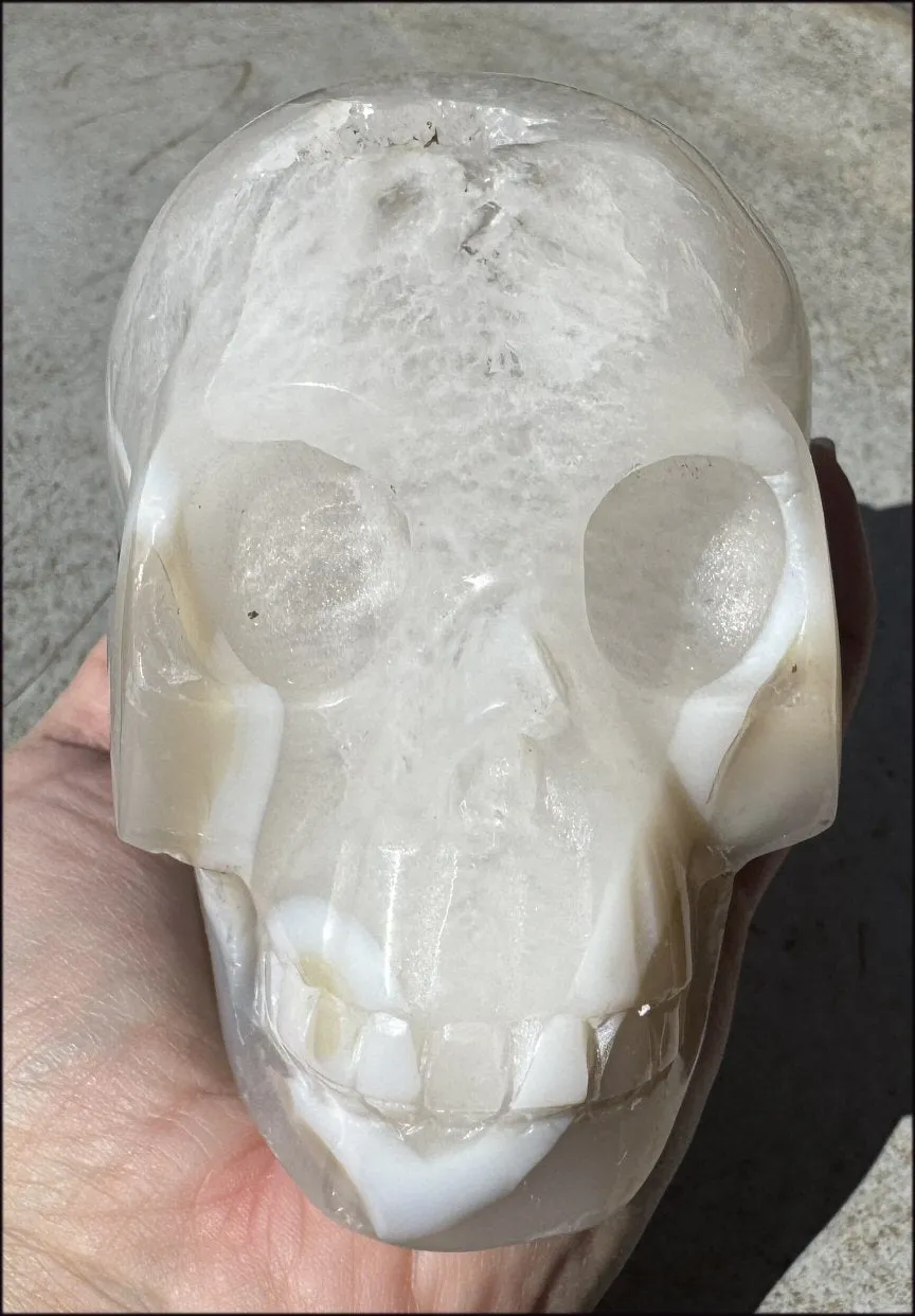 3XL Dendritic Agate GEODE Crystal Skull w/ Fantastic VUGS!