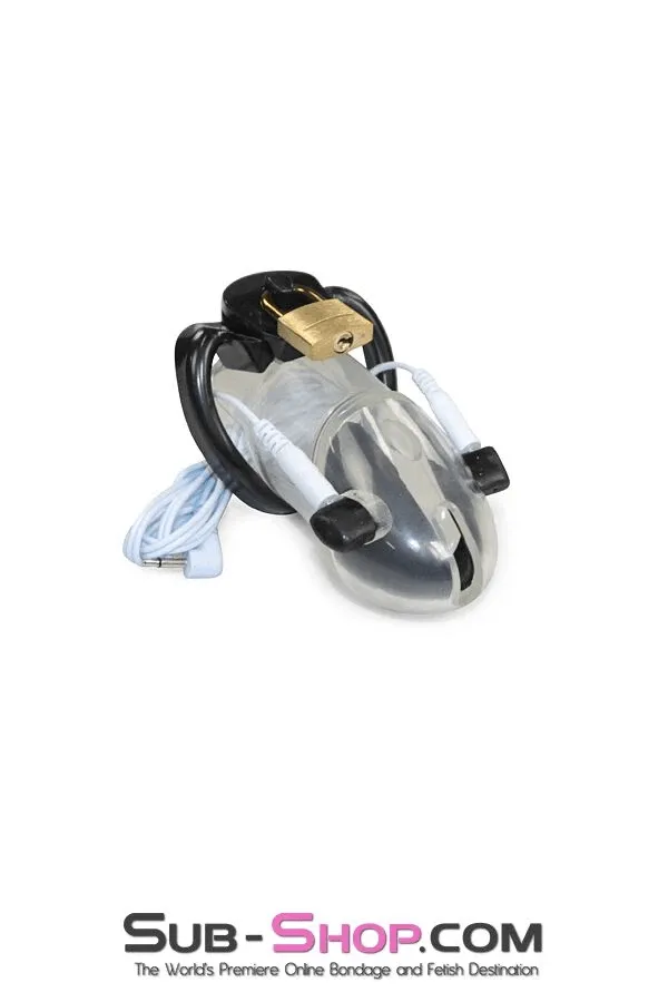 6980AR      Electro-Sex Black Balled Locking Cock Cage Chastity