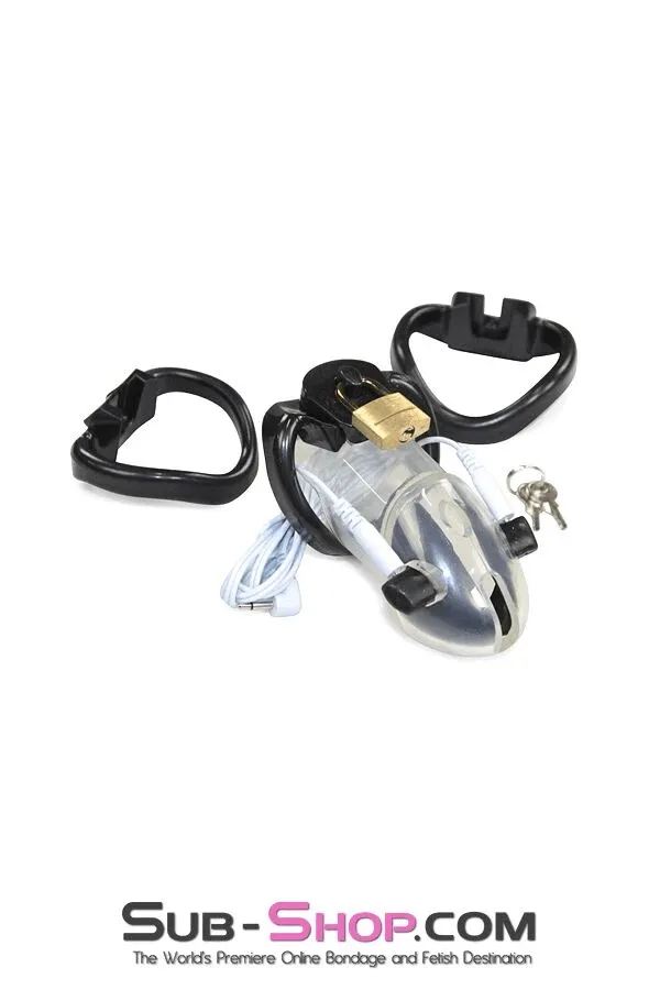 6980AR      Electro-Sex Black Balled Locking Cock Cage Chastity