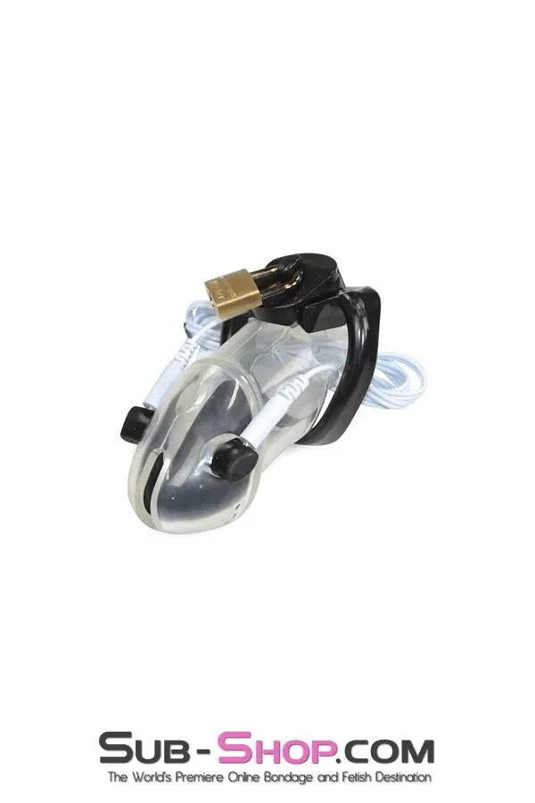 6980AR      Electro-Sex Black Balled Locking Cock Cage Chastity