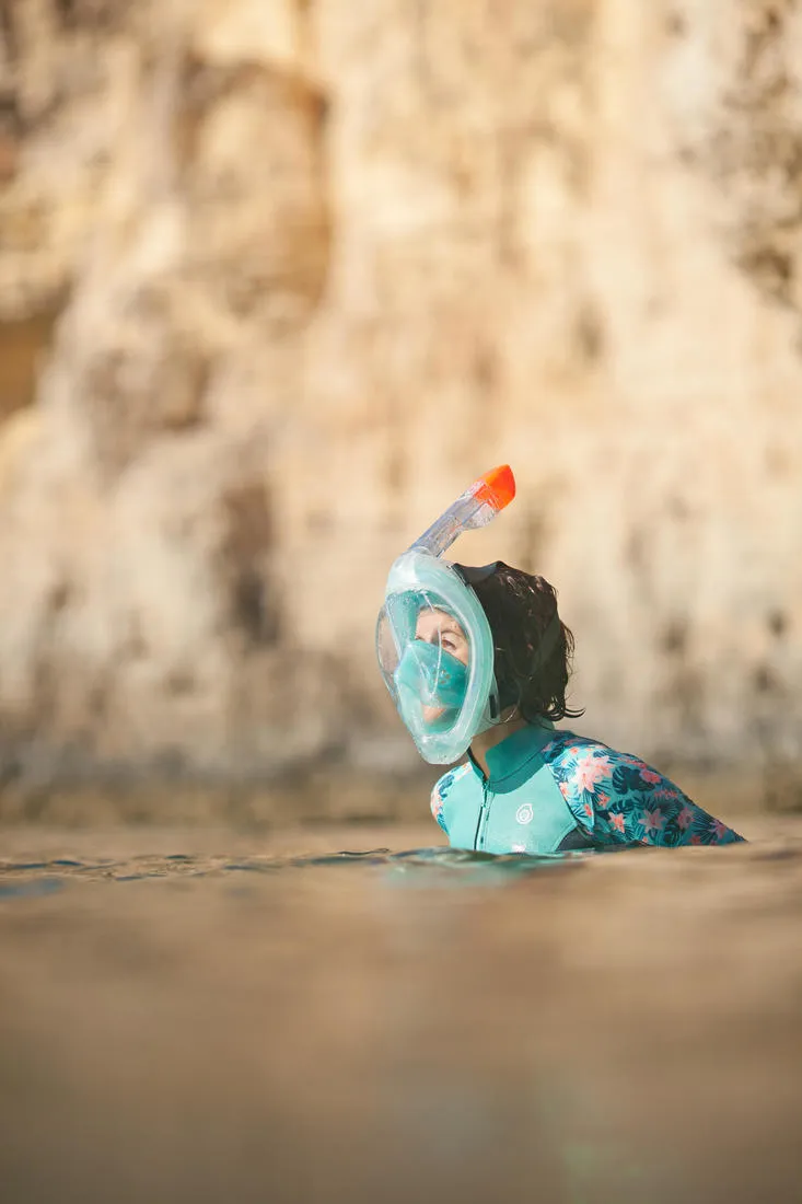 Adult’s Easybreath Surface Mask - 500 with bag