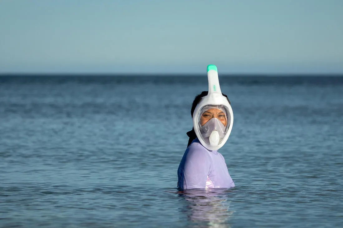 Adult’s Easybreath Surface Mask - 500 with bag