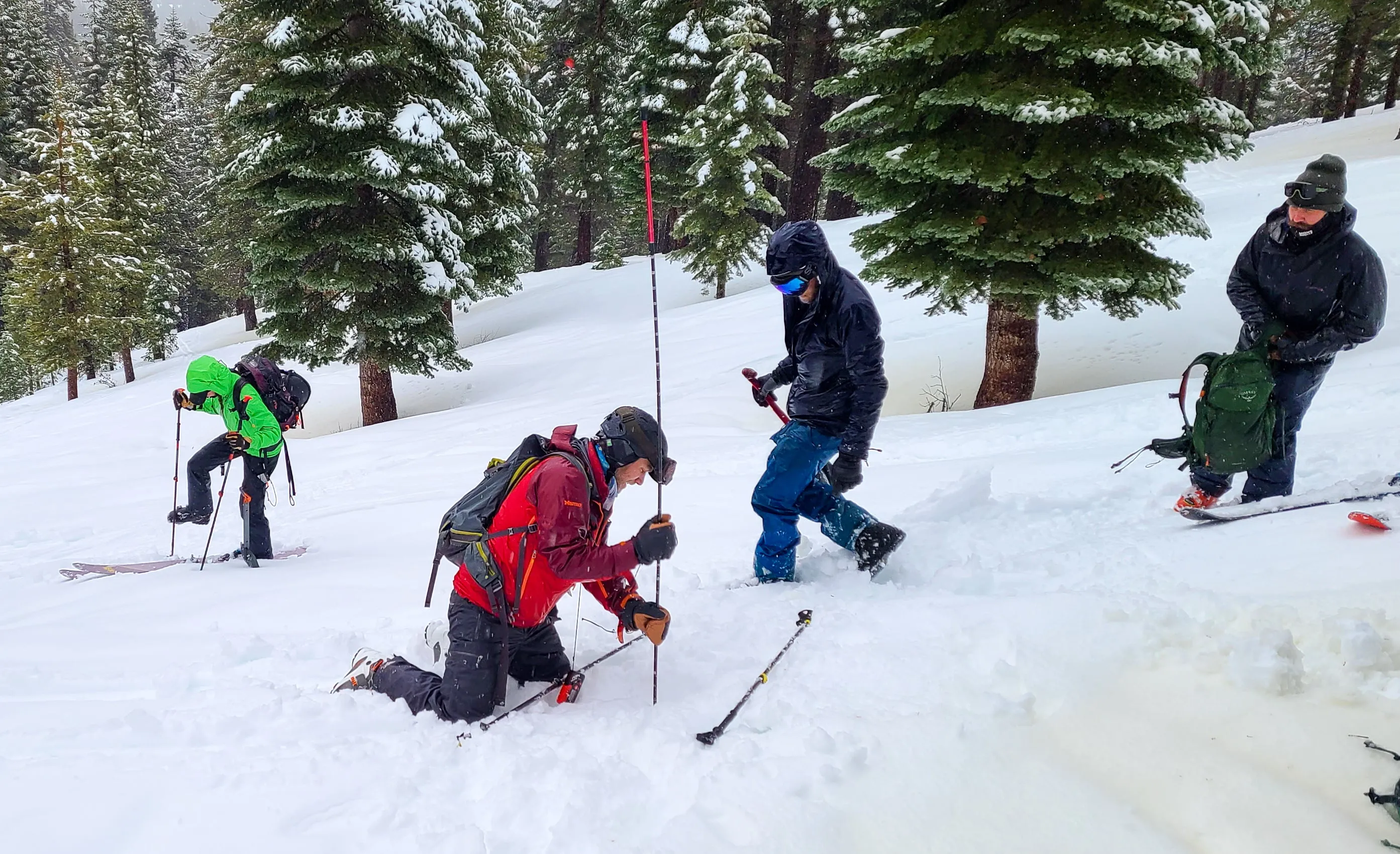 AIARE 1 Avalanche Course in Tahoe