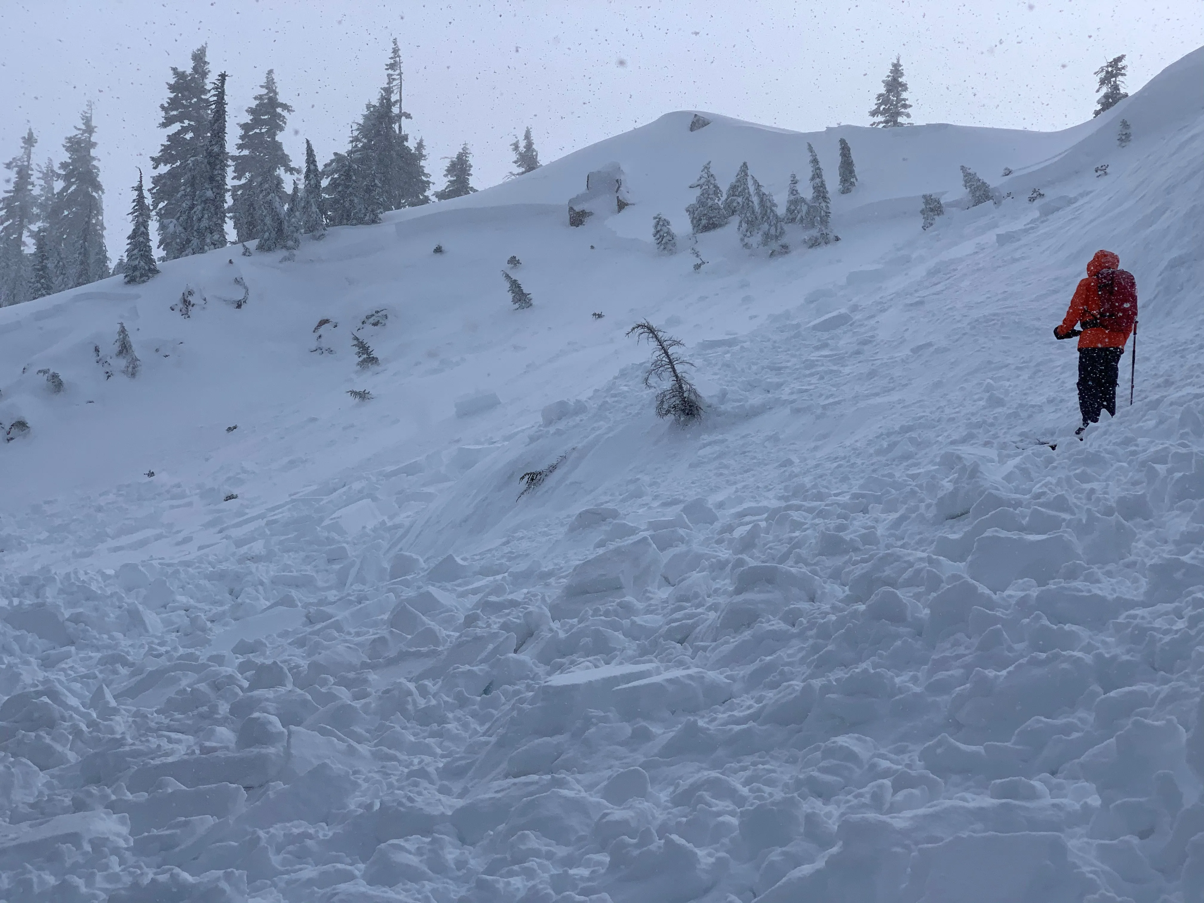 AIARE 1 Avalanche Course in Tahoe