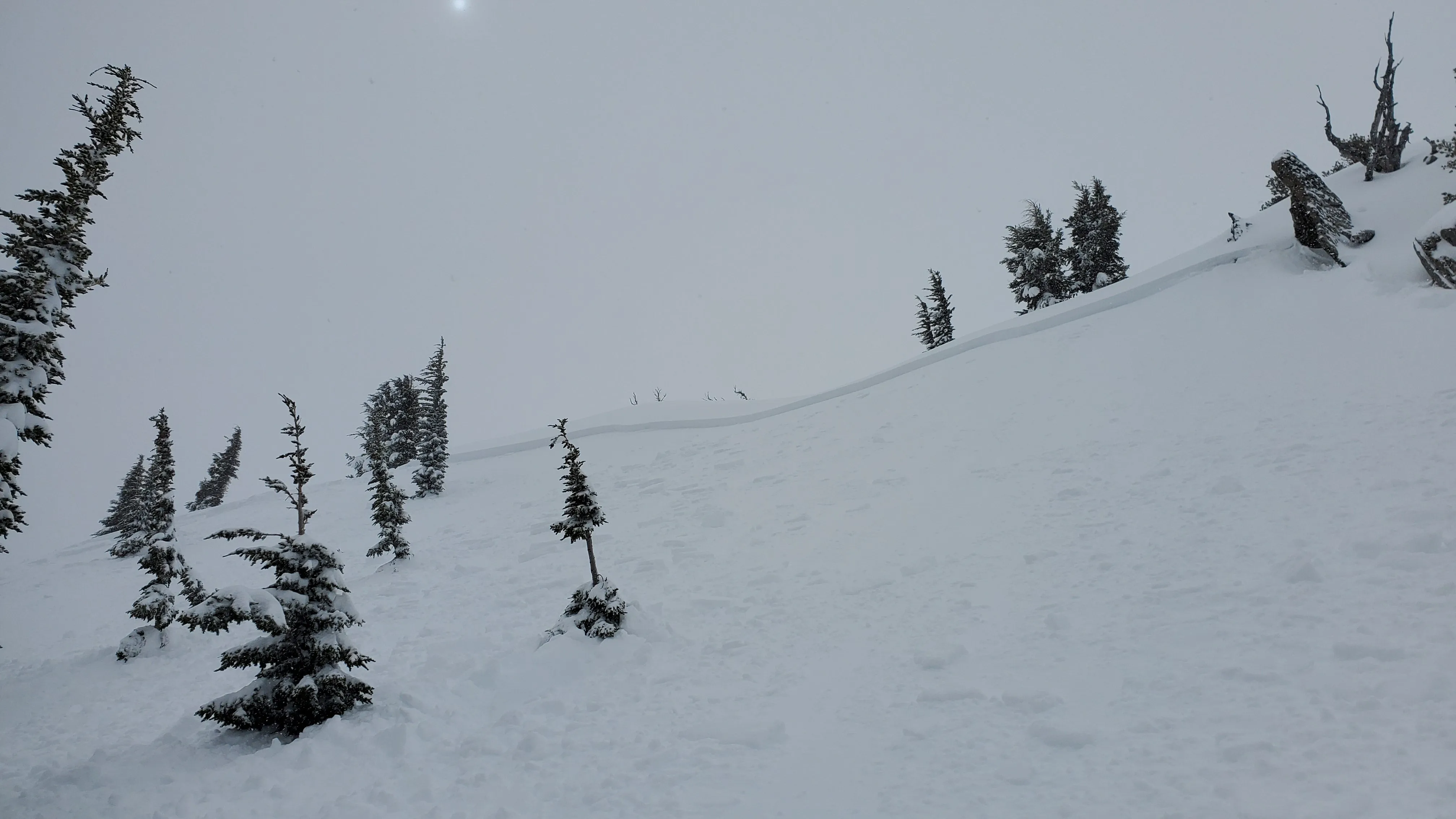 AIARE 1   Rescue Avalanche Course in Mammoth