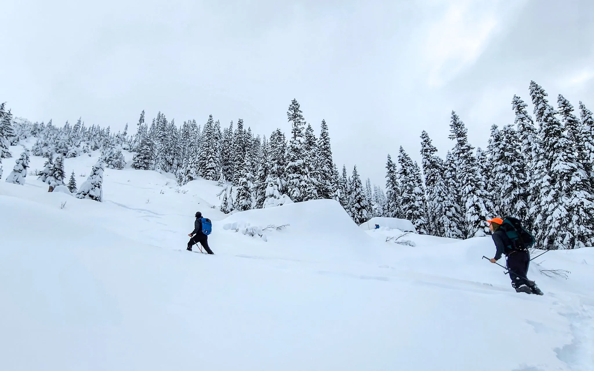 AIARE 1   Rescue Avalanche Course in Washington