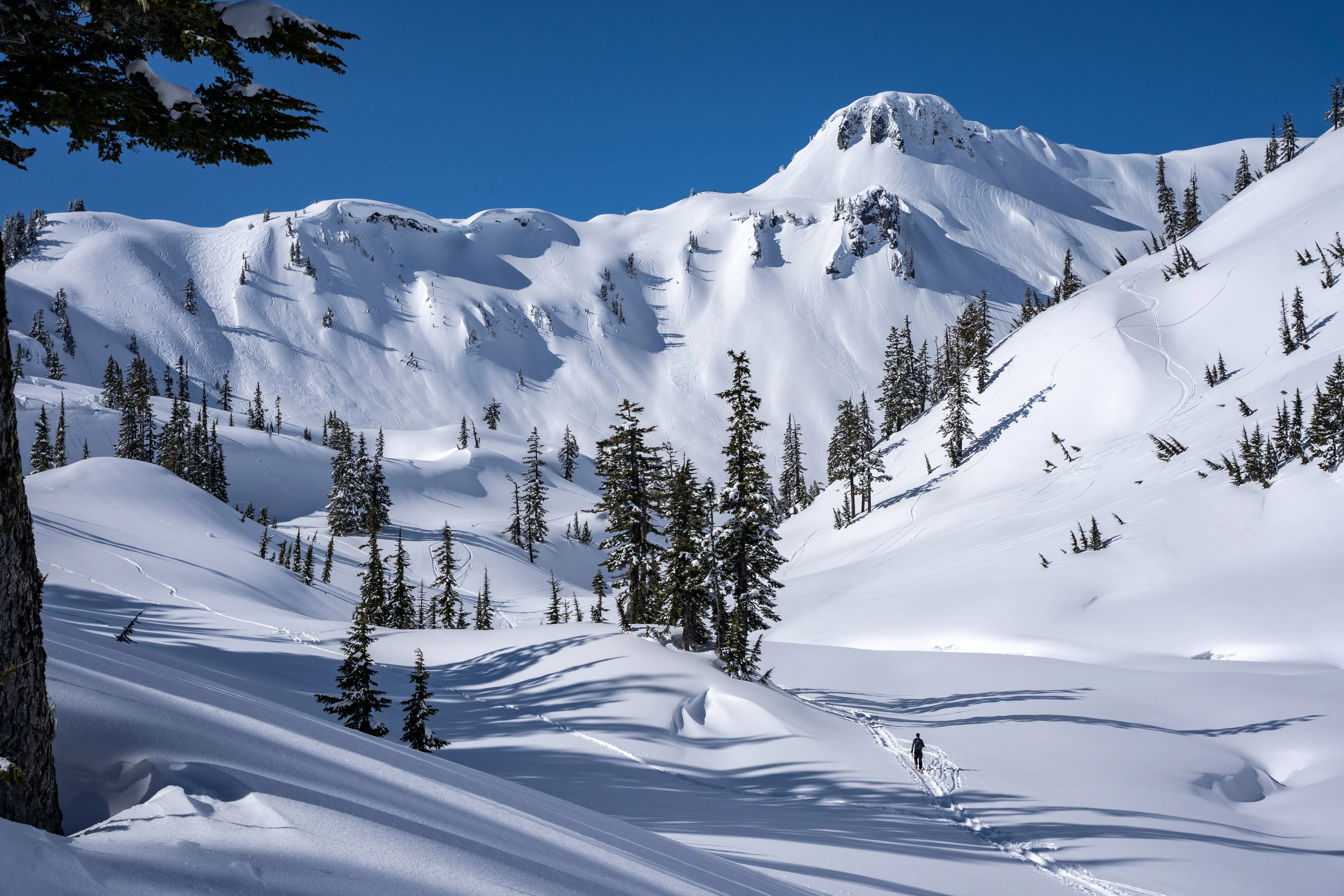 AIARE 1   Rescue Avalanche Course in Washington