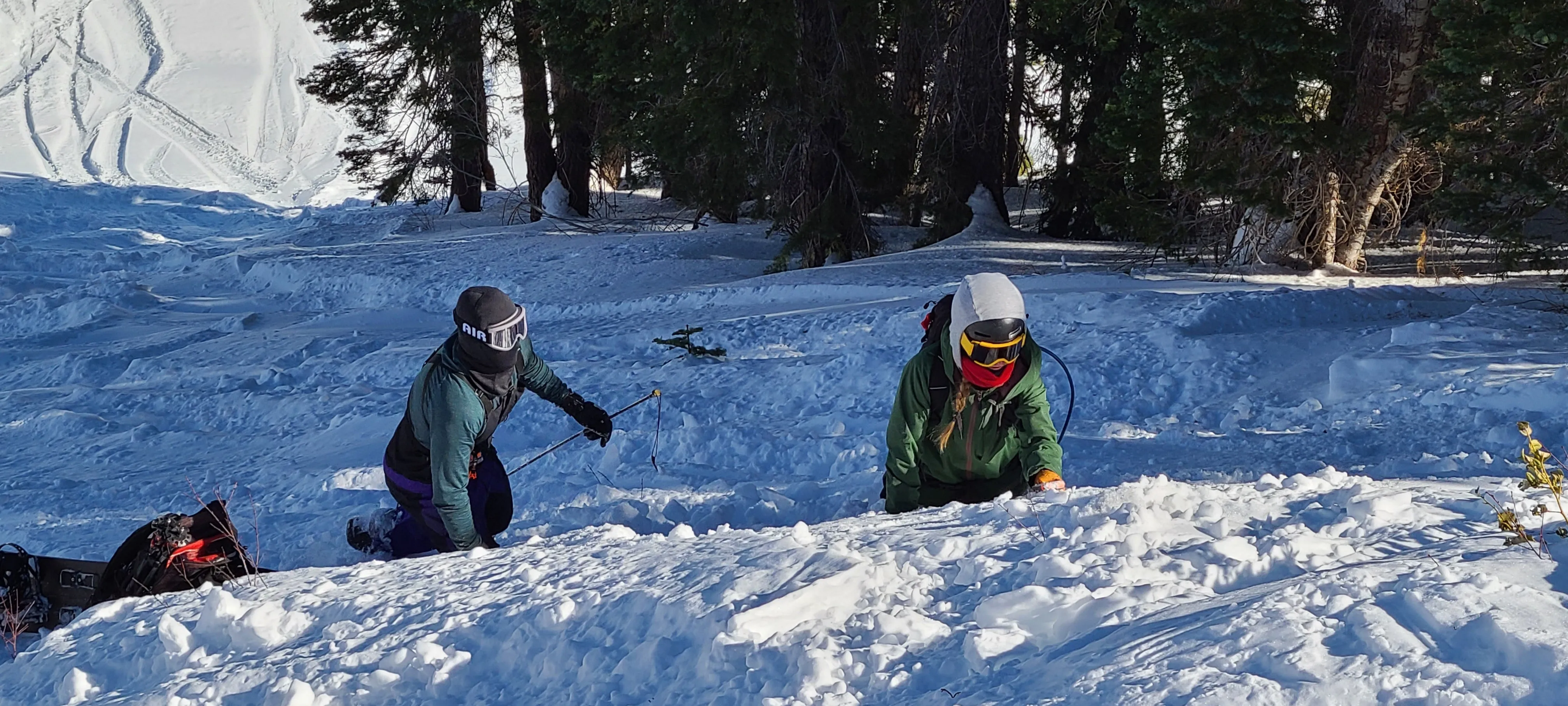 AIARE Avalanche Rescue Course in Mammoth