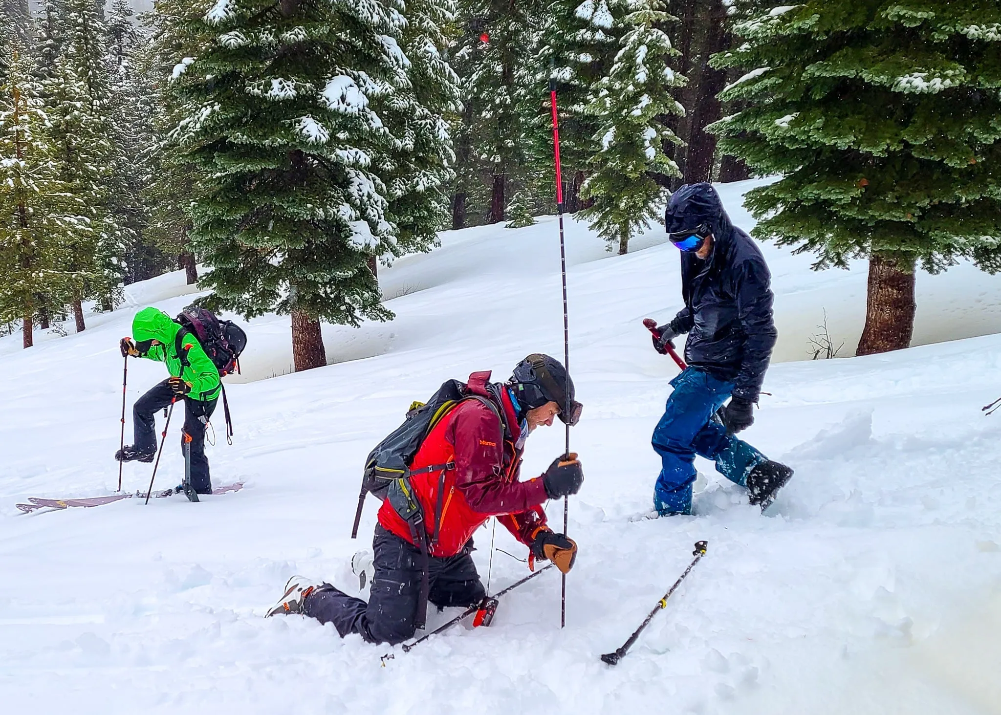 AIARE Avalanche Rescue Course in Mammoth
