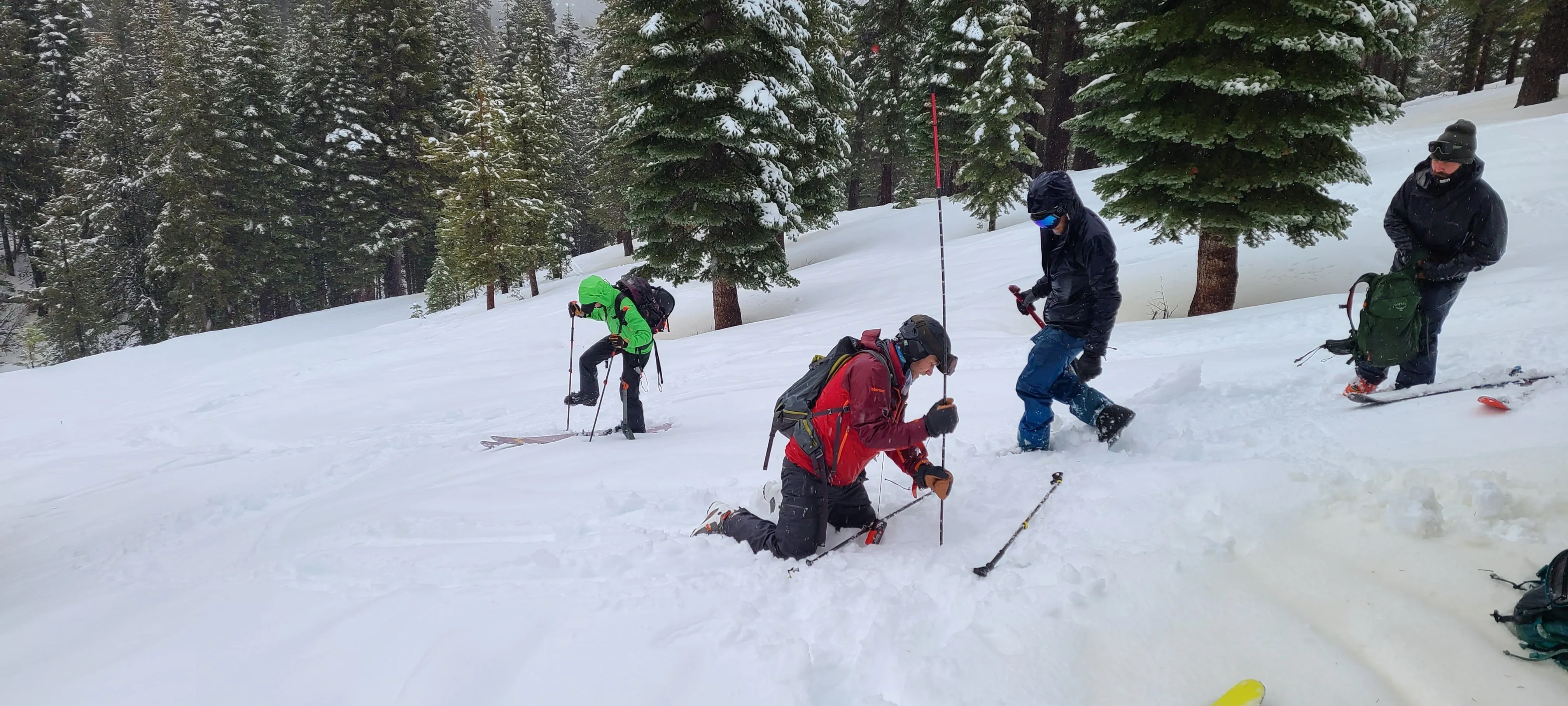 AIARE Avalanche Rescue Course in Washington
