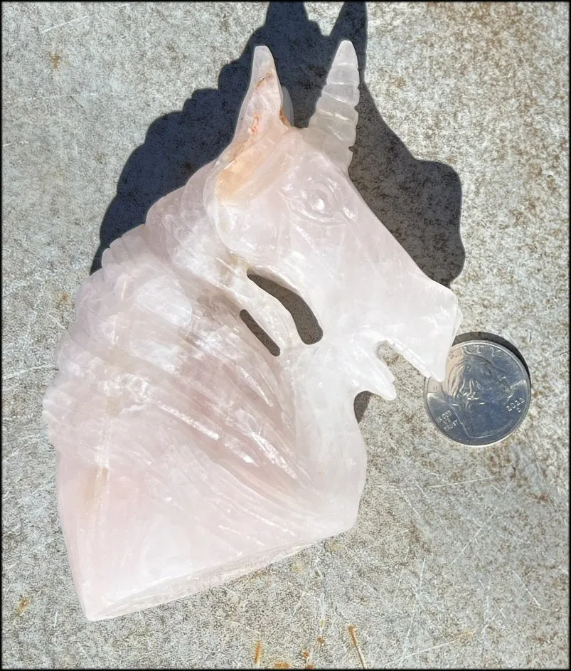 ~Amazing Details!~ Rose Quartz Crystal UNICORN Bust with Hematite - Needs Good Home