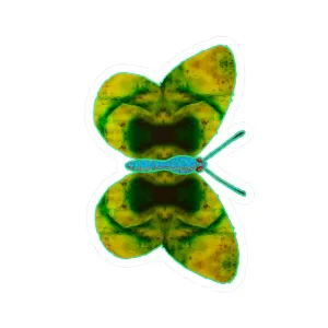 Ante Iridem Margo (Vinyl Decals)(Butterfly Glade Denizen) RJSTH@Fabric#10_9 of 16 RJSTHw2023 RJS