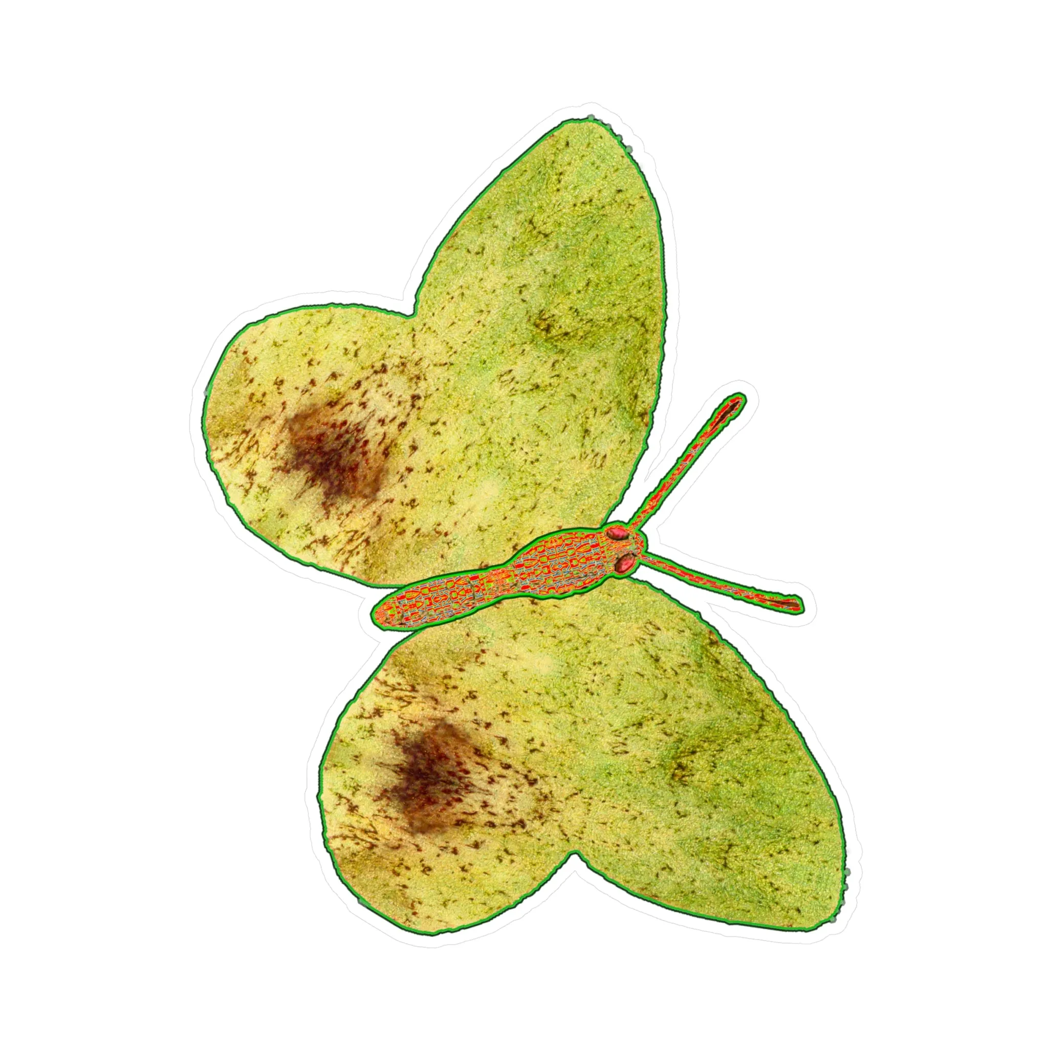 Ante Iridem Margo (Vinyl Decals)(Butterfly Glade Denizen) RJSTH@Fabric#2_10 of 16 RJSTHw2023 RJS