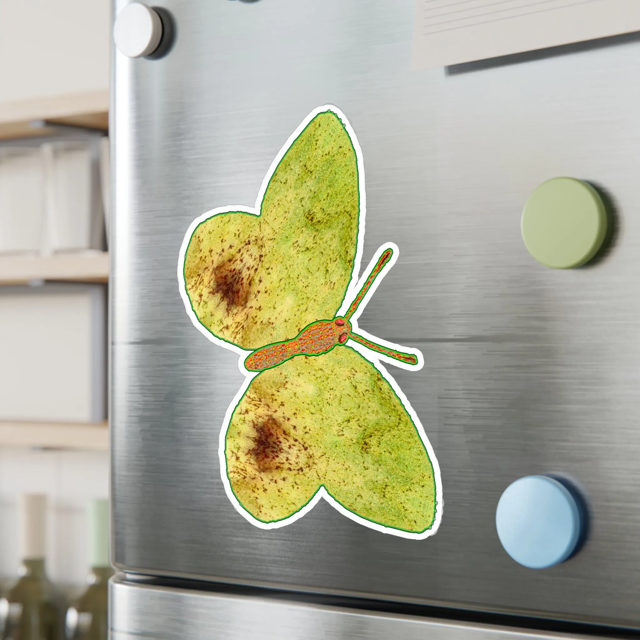 Ante Iridem Margo (Vinyl Decals)(Butterfly Glade Denizen) RJSTH@Fabric#2_10 of 16 RJSTHw2023 RJS
