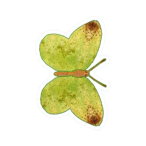 Ante Iridem Margo (Vinyl Decals)(Butterfly Glade Denizen) RJSTH@Fabric#2_5 of 16 RJSTHw2023 RJS