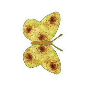 Ante Iridem Margo (Vinyl Decals)(Butterfly Glade Denizen) RJSTH@Fabric#2_9 of 16 RJSTHw2023 RJS