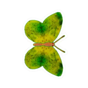 Ante Iridem Margo (Vinyl Decals)(Butterfly Glade Denizen) RJSTH@Fabric#3_12 of 16 RJSTHw2023 RJS