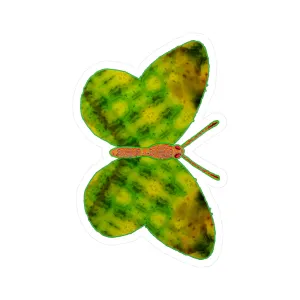 Ante Iridem Margo (Vinyl Decals)(Butterfly Glade Denizen) RJSTH@Fabric#3_2 of 16 RJSTHw2023 RJS