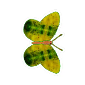 Ante Iridem Margo (Vinyl Decals)(Butterfly Glade Denizen) RJSTH@Fabric#3_8 of 16 RJSTHw2023 RJS