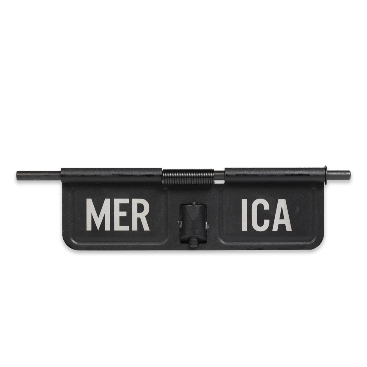 APS Dust Cover