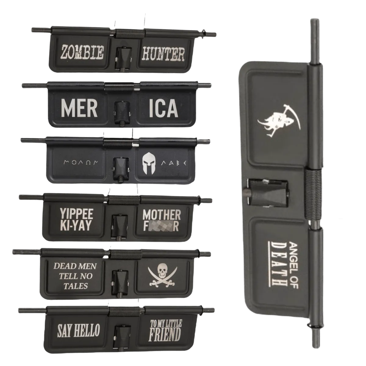 APS Dust Cover