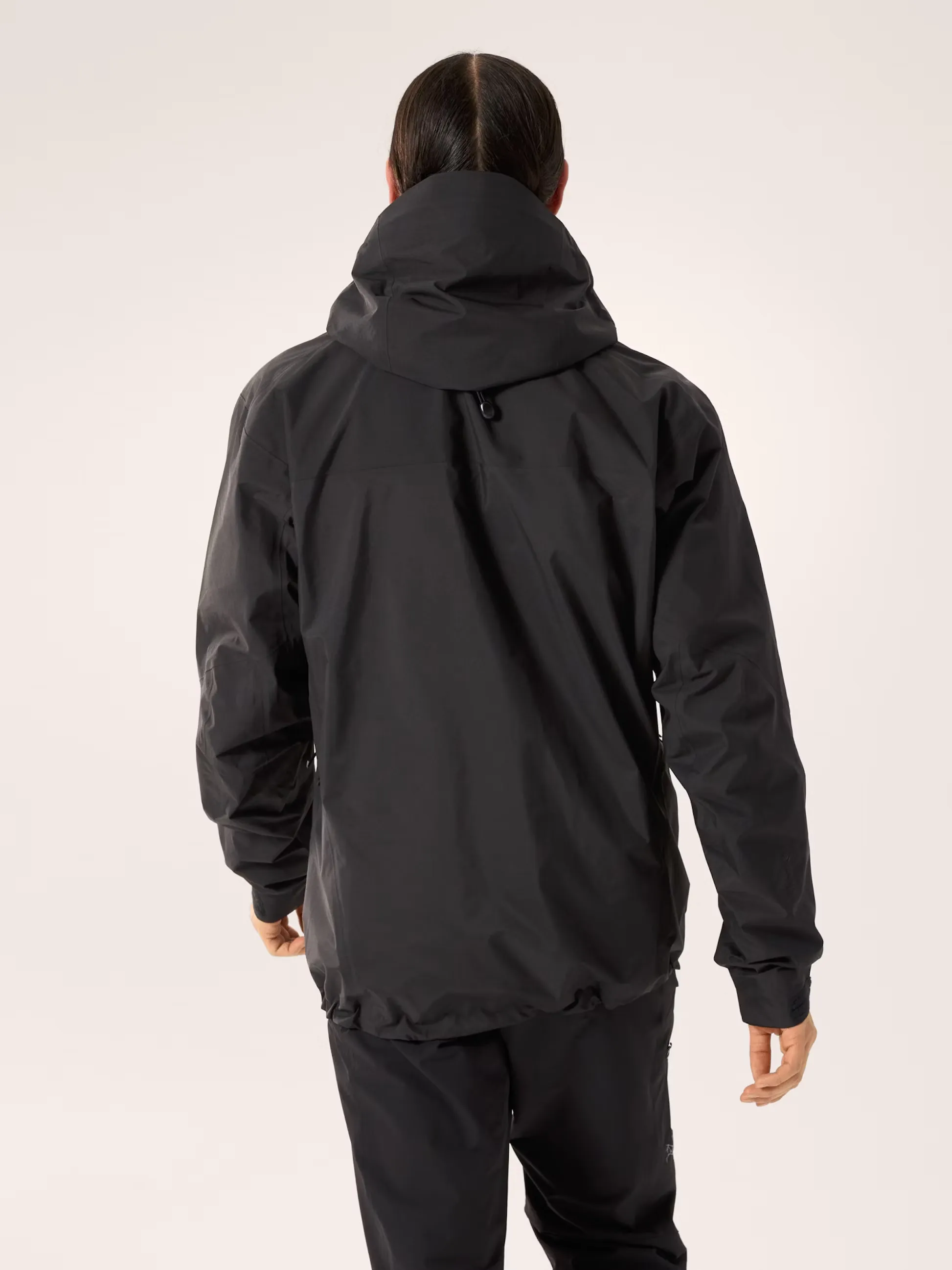 Arcteryx Beta AR Stormhood Men's