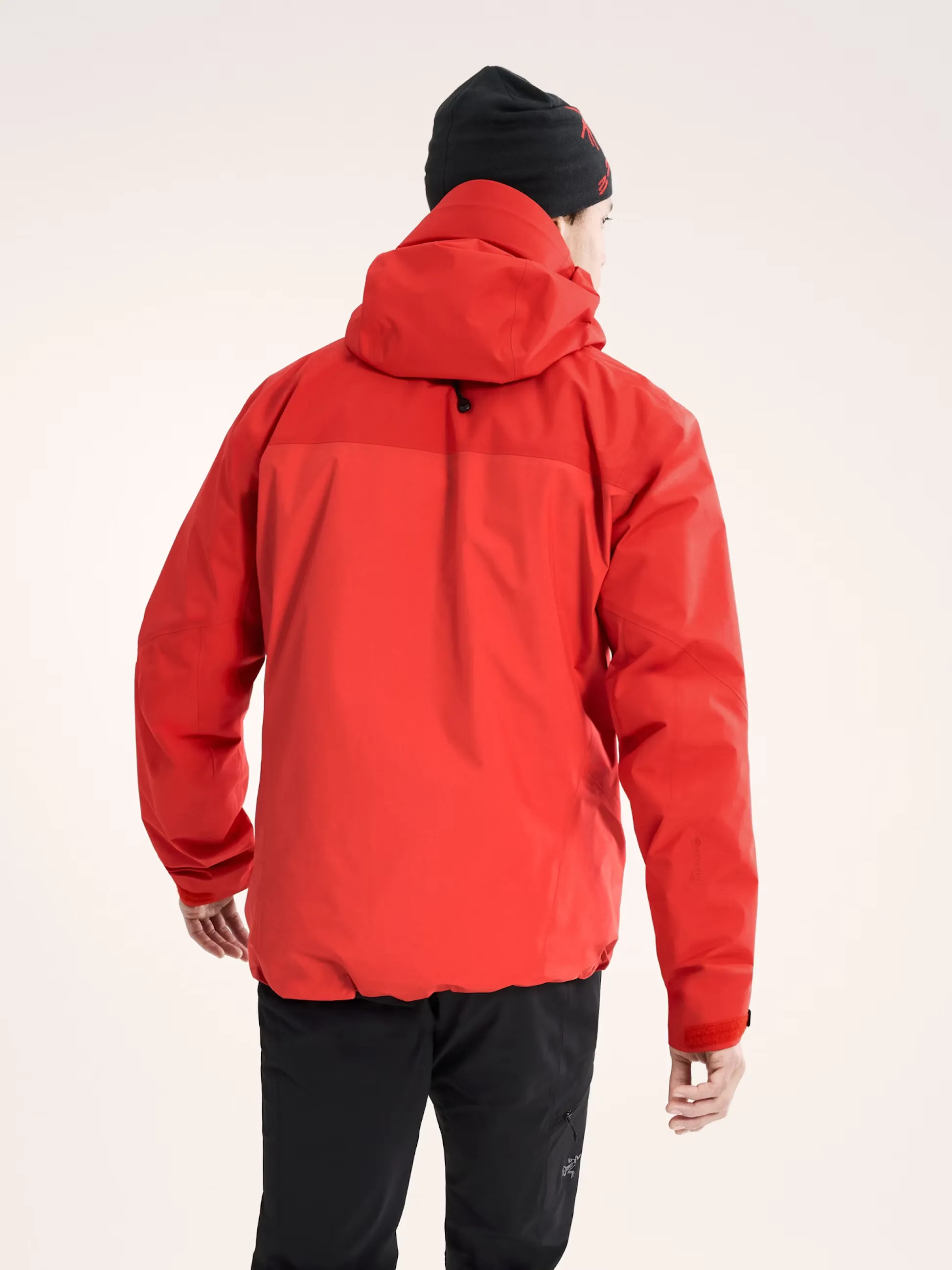 Arcteryx Beta AR Stormhood Men's