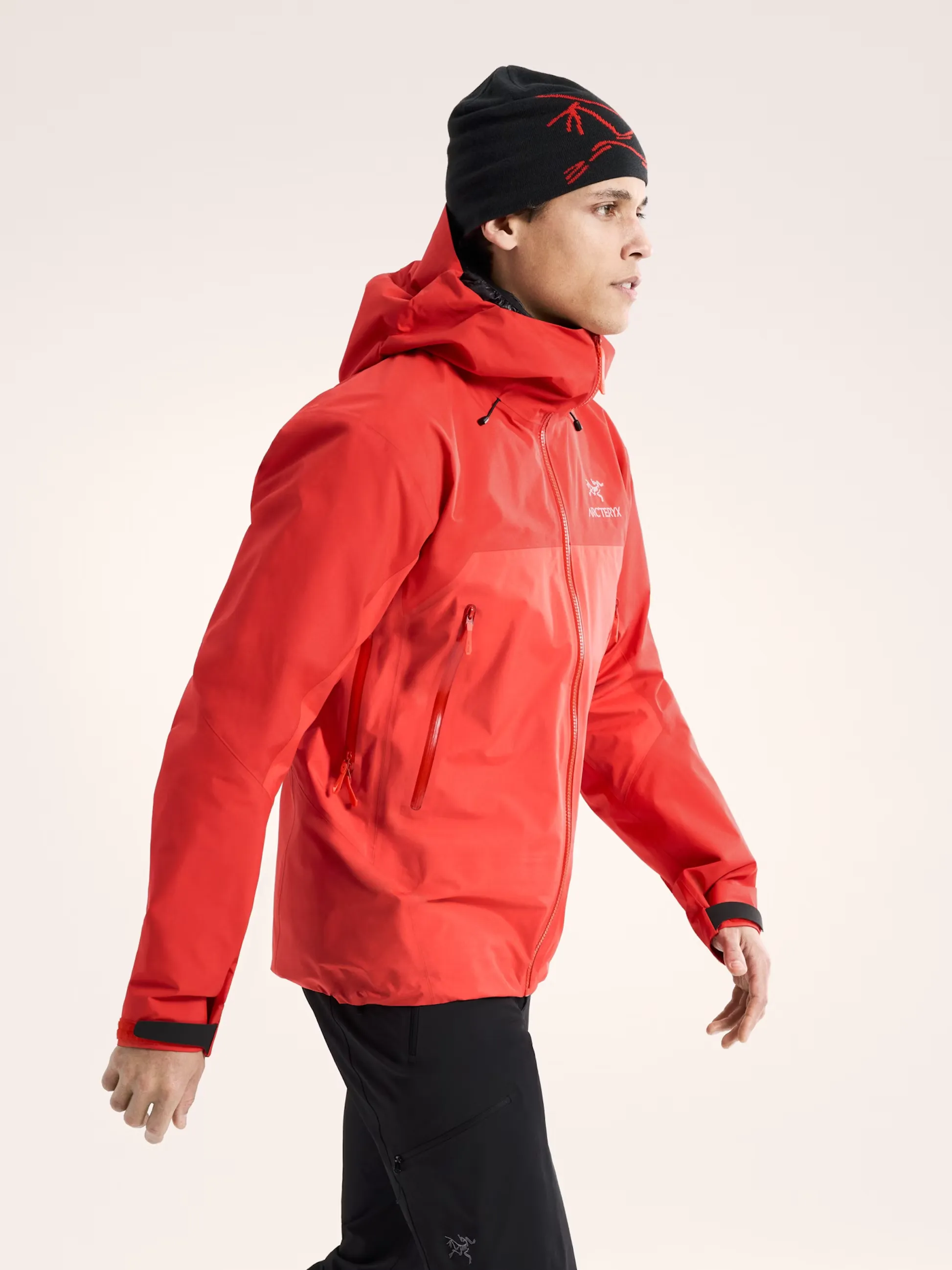 Arcteryx Beta AR Stormhood Men's