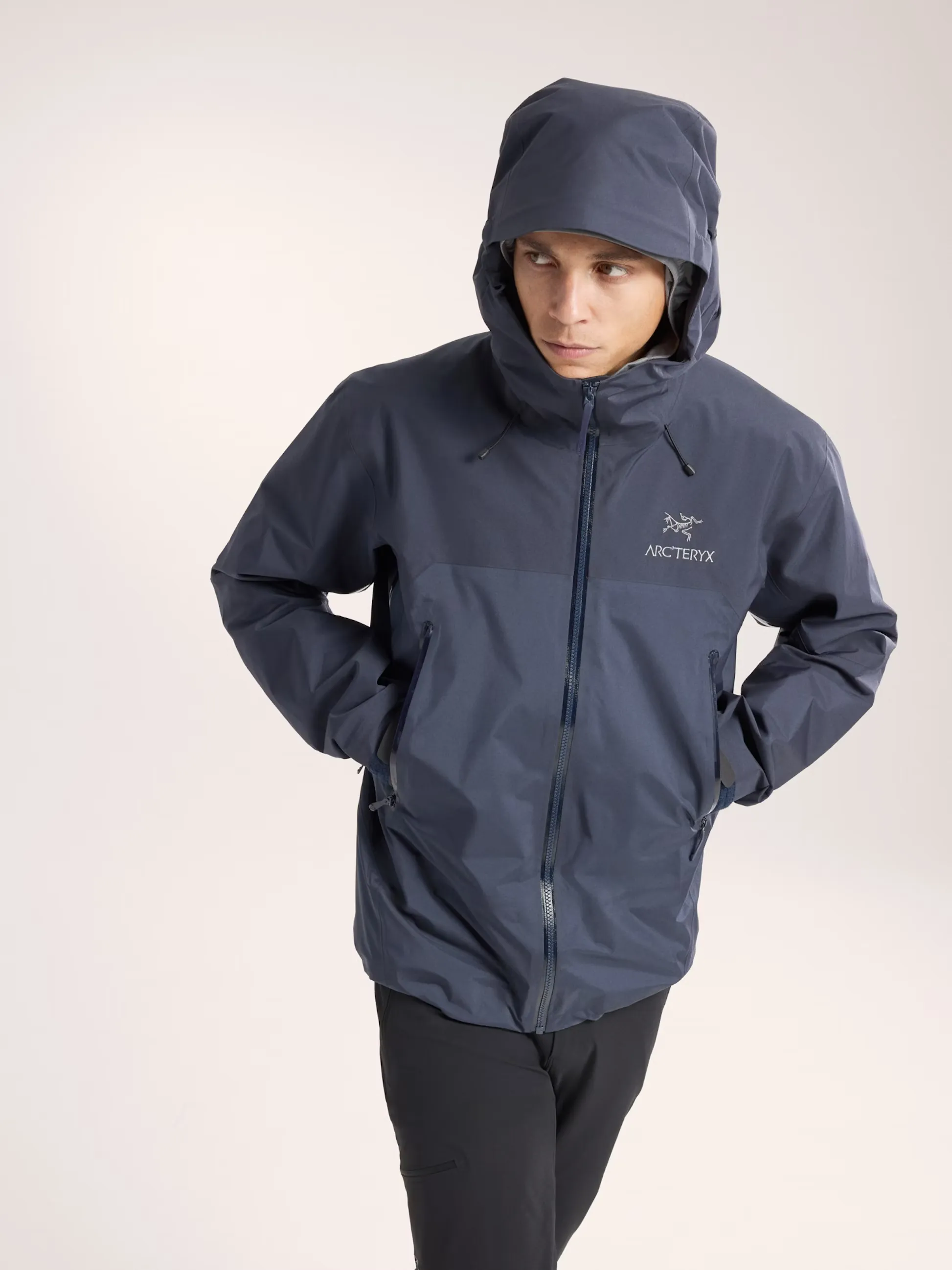 Arcteryx Beta AR Stormhood Men's