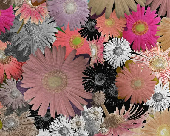 Area Rug 'CFloral'