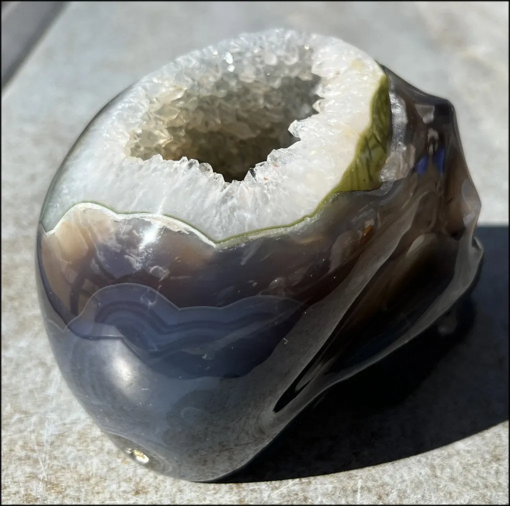 Baby Life-Size Agate GEODE Crystal Skull with BIG Druzy-lined VUG!