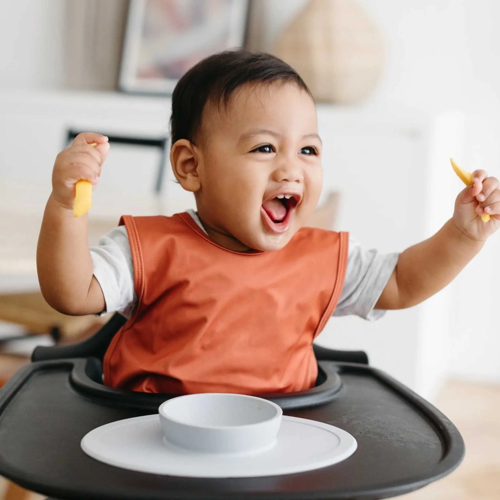 BapronBaby Toddler Bib (6m ) Minimalist Collection