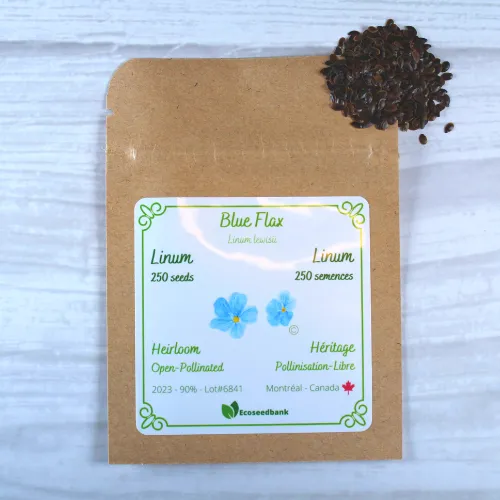 Blue Flax Linum Lewisii Seeds