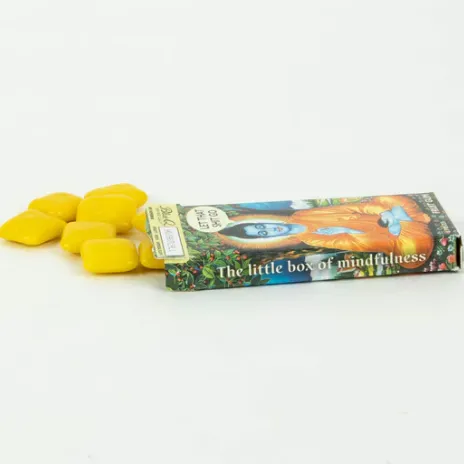 Blue Q  - Let That S*** Go Gum