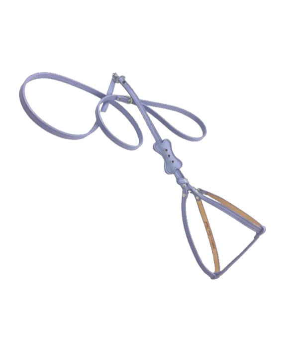 Bone All-In-One Dog Harness with Bone Slider and 3 Austrian Crystals