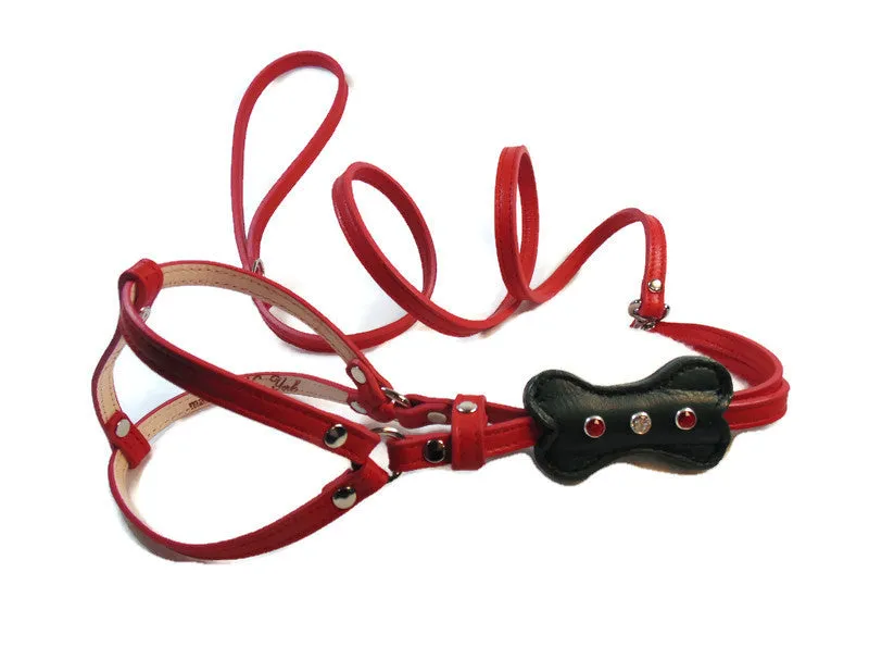 Bone All-In-One Leather Dog Harness with 3 Austrian Crystals-Holiday