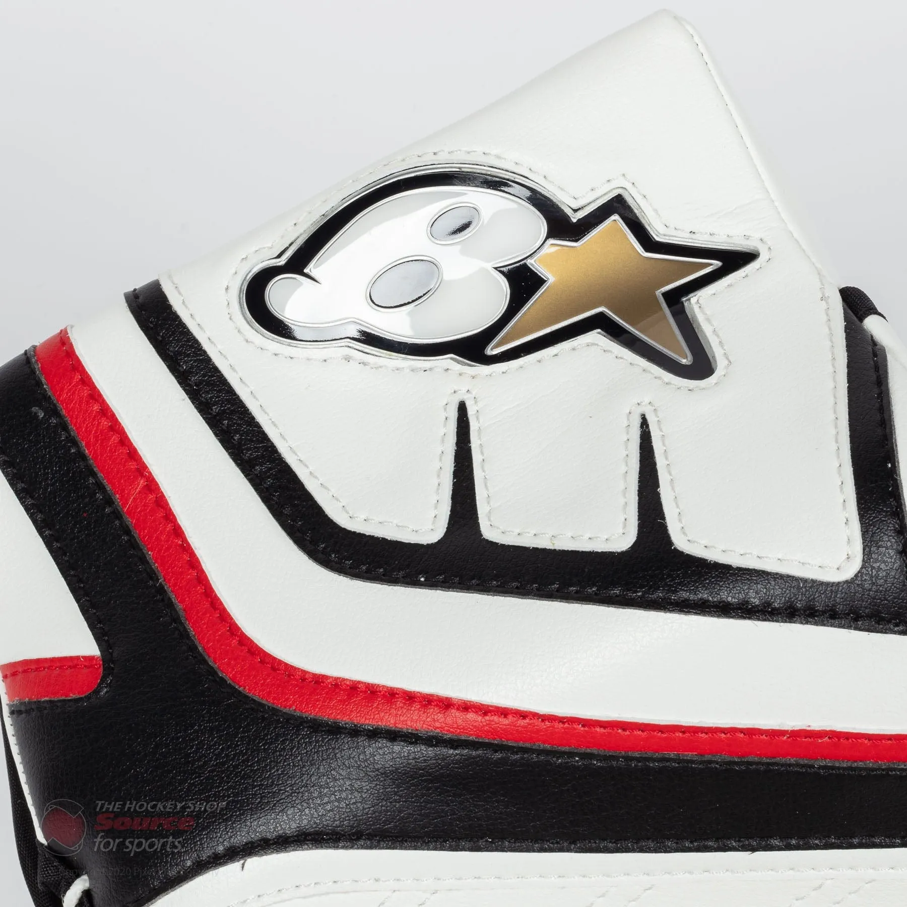 Brian's G-NETik X Intermediate Goalie Catcher