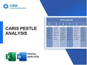 CARIS PESTEL ANALYSIS